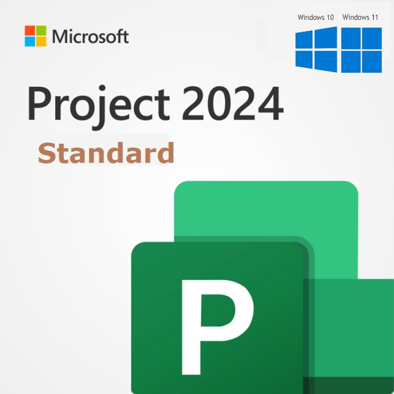 Project 2024 Standard